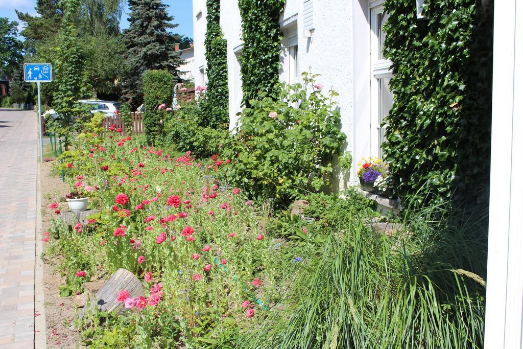 Baltisches Haus Pension Moll Zinnowitz Luaran gambar